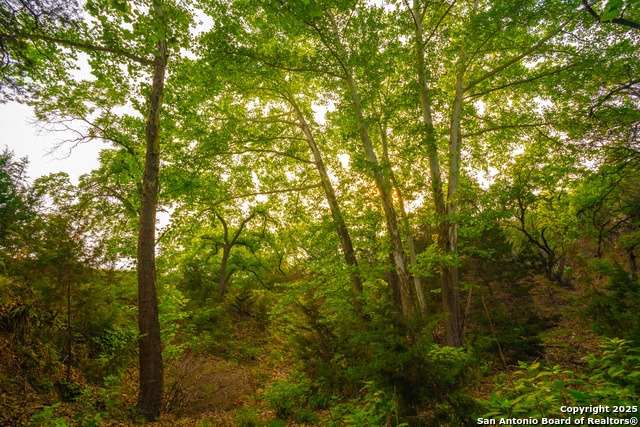 101 Bella Springs Rd Property Photo 39