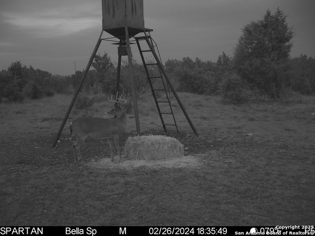 101 Bella Springs Rd Property Photo 44