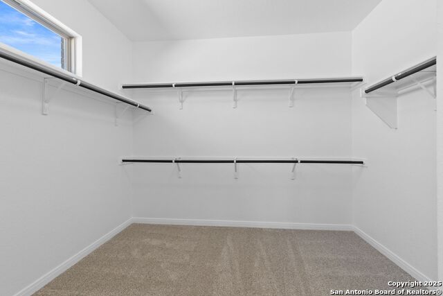 2519 Sueno Point Property Photo 20