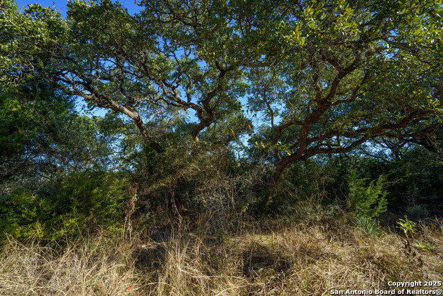 25030 Caliza Cove Property Photo