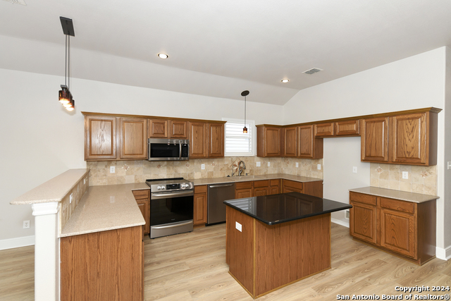 14255 Savannah Pass Property Photo 18