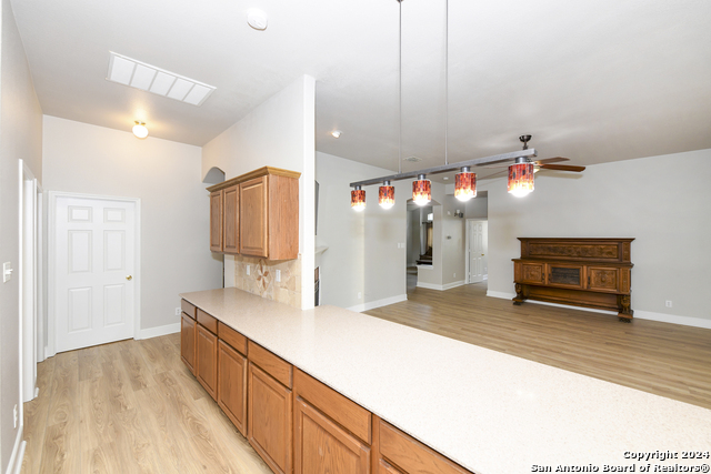 14255 Savannah Pass Property Photo 19