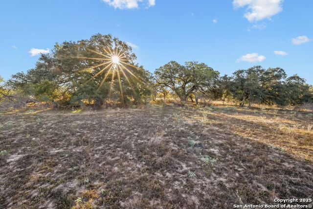 25743 Campbellton Road Property Photo 17