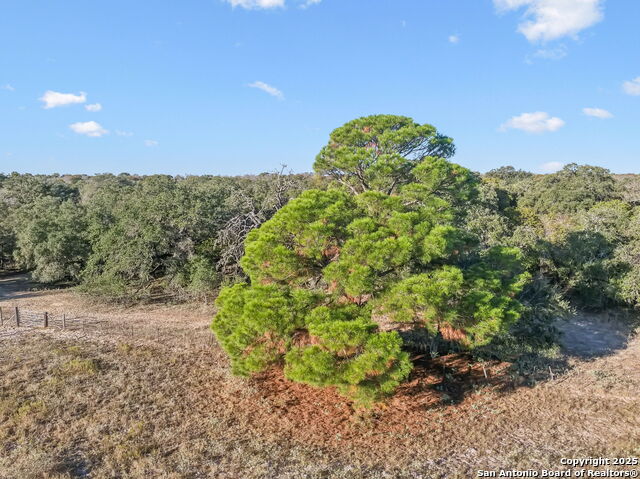 25743 Campbellton Road Property Photo 46