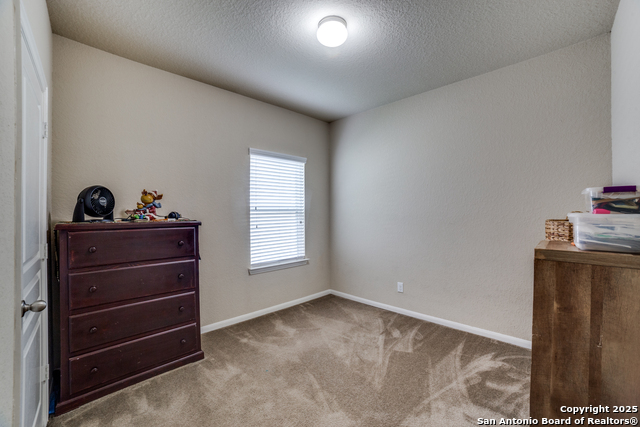 3115 Saylers Creek Property Photo 28