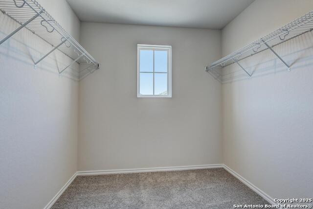 7642 Birch Hollow Property Photo 15