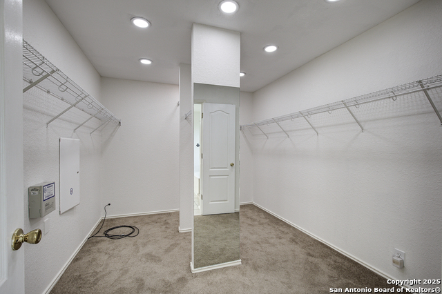 438 Tiger Hills Property Photo 30