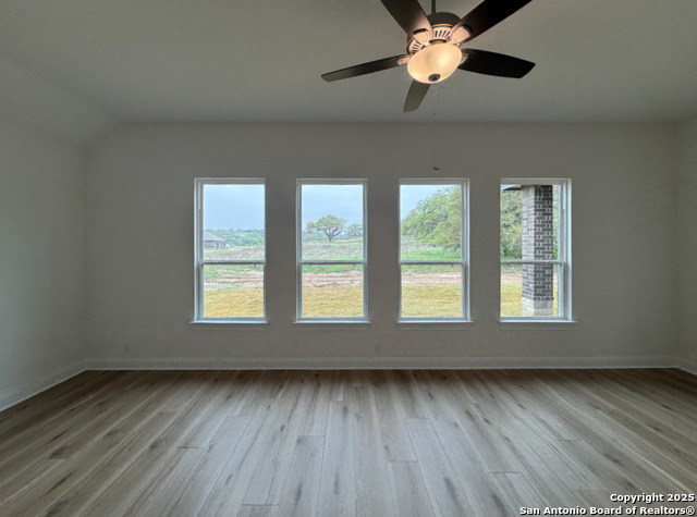 1129 Cape May Warbler Property Photo 31