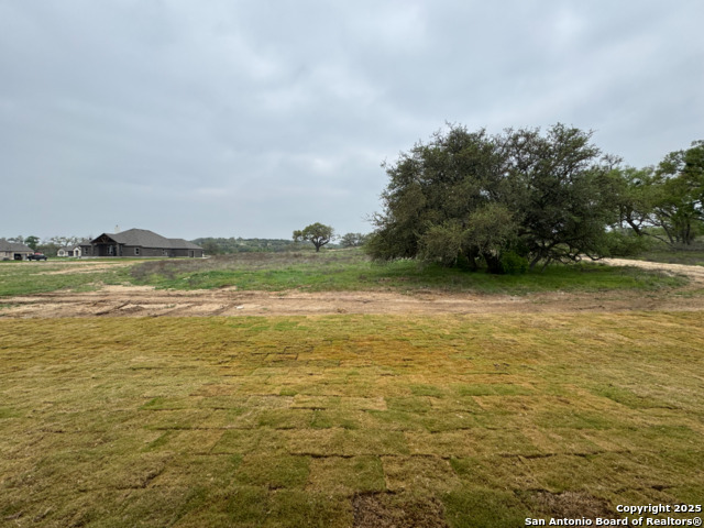 1129 Cape May Warbler Property Photo 48
