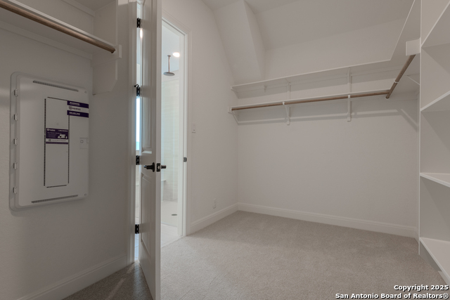 10868 Chestnut Warbler Property Photo 28