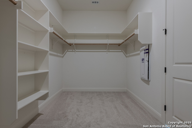 10868 Chestnut Warbler Property Photo 29