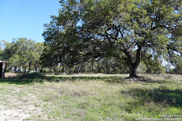 30951 Blanco Rd Property Photo 12