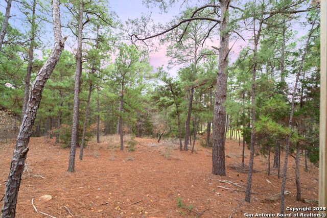 113 Post Oak Ct Property Photo 37