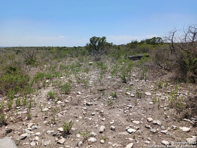 Lot 136 Leona Rnch Property Photo 1