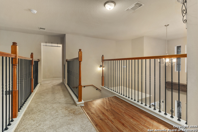9223 Saucedo Dr Property Photo 17