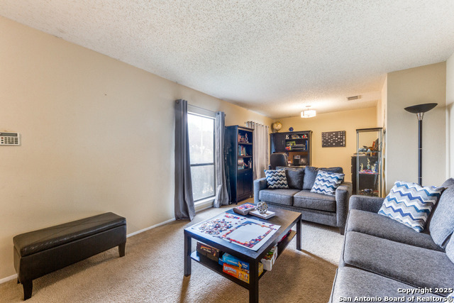 11603 Spring Rain Property Photo 6