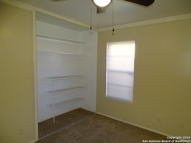 4850 Shadydale Dr Property Photo 26