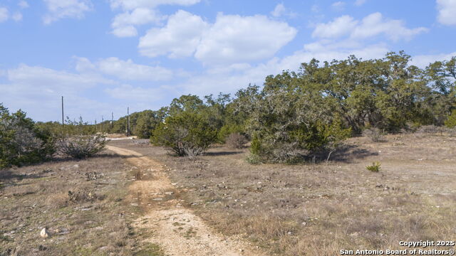 105 Joseph Lilley Property Photo 3