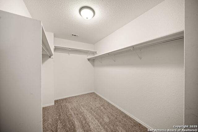 3503 Sunbird Bay Property Photo 22