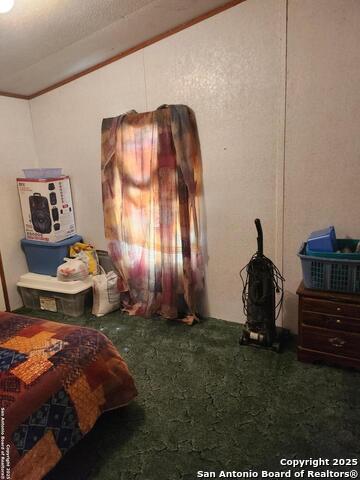 10255 S Briggs Property Photo 4