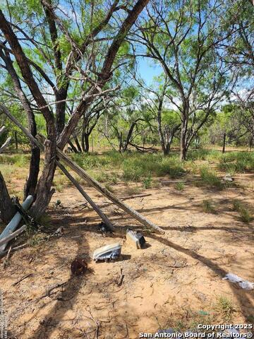 10255 S Briggs Property Photo 24