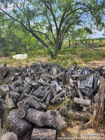 10255 S Briggs Property Photo 26
