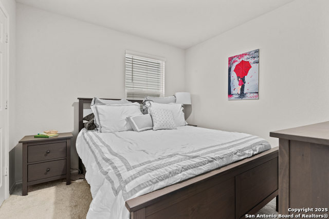 6247 Silver Pegasus Property Photo 10