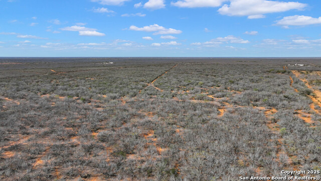 6126 W Fm 469 Property Photo 12