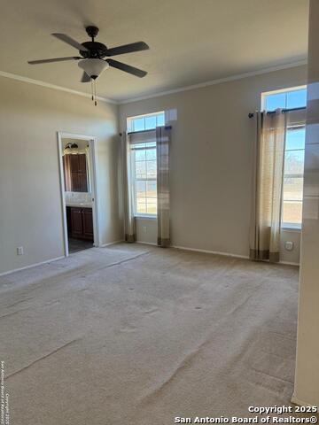 8569 County Road 401 Property Photo 14