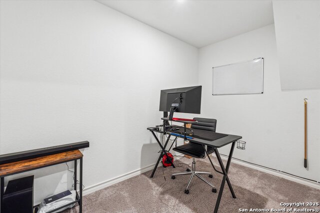 12217 Tower Forest Property Photo 35