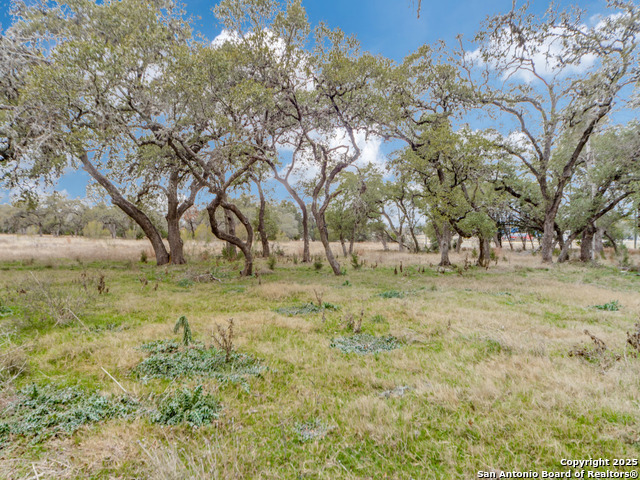 0 W Interstate 10 Tx Property Photo 9