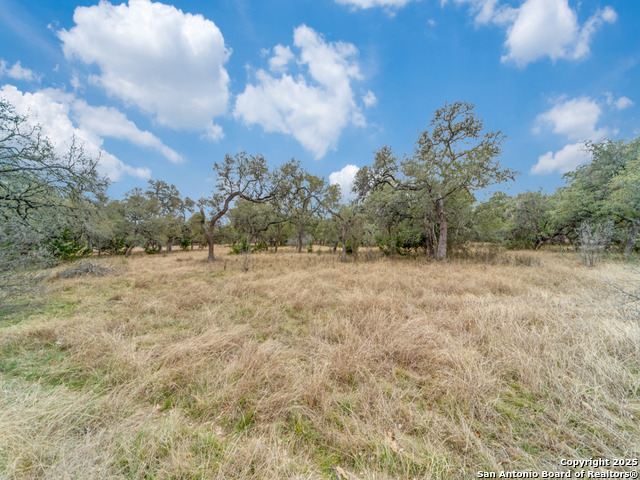 0 W Interstate 10 Tx Property Photo 13