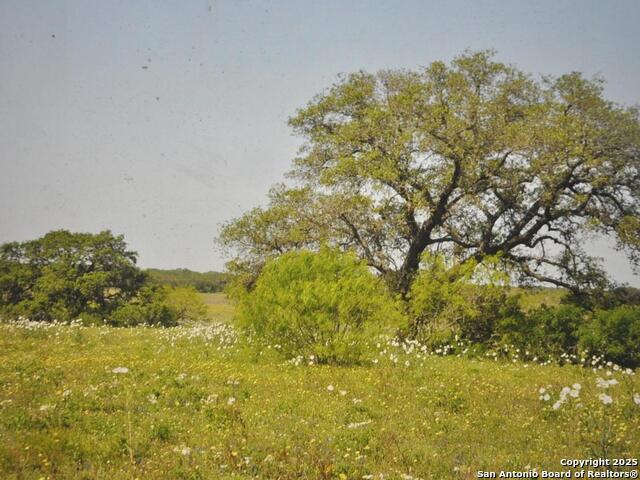 Tbd Cr 2615 Property Photo 2