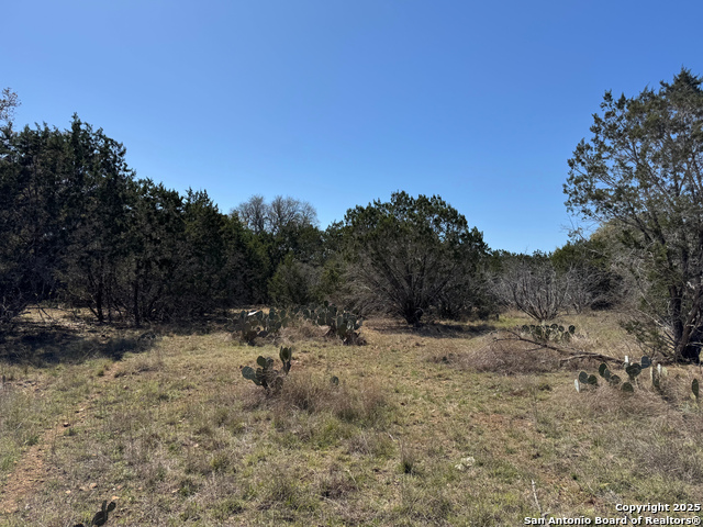 000 Saddle Trl Property Photo 2