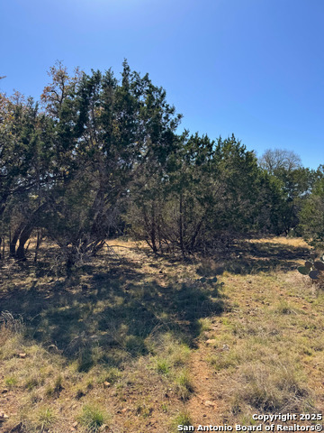 000 Saddle Trl Property Photo 6