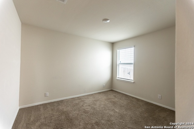 9918 Spotted Rose Property Photo 12