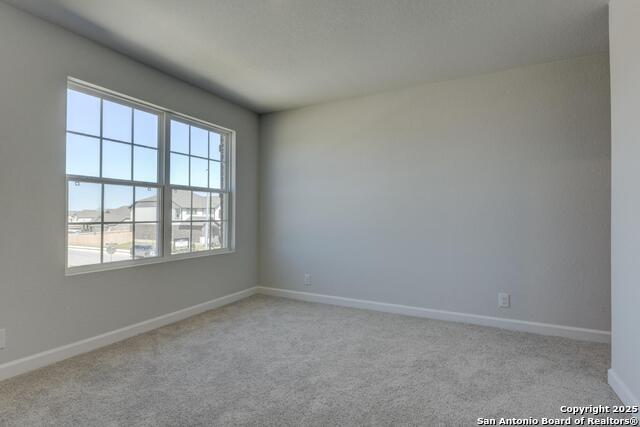 12820 Hills Plains Dr. Property Photo 29