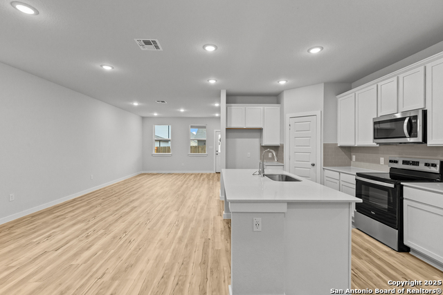 2520 Solon Lane Property Photo 6