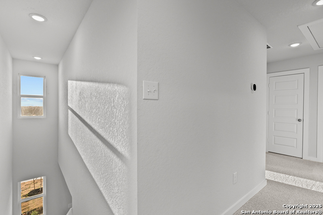 9946 Forestier Green Property Photo 13