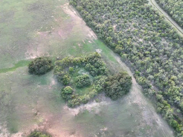 Tbd County Road 669 Property Photo 2