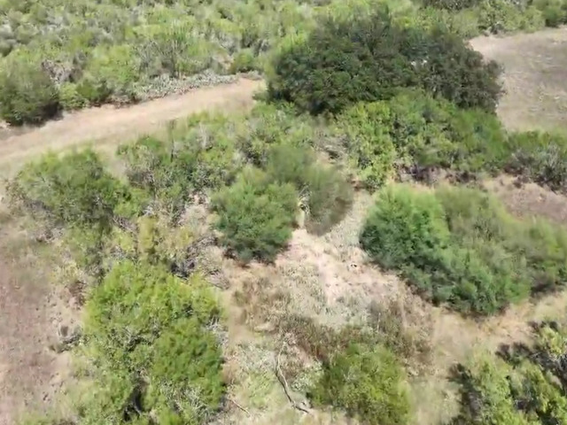 Tbd County Road 669 Property Photo 8