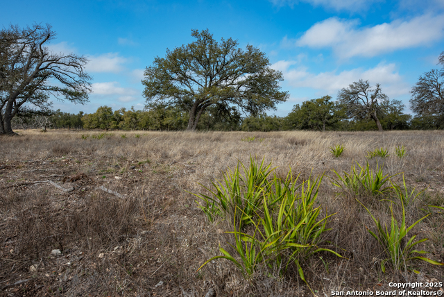 0 Fiedler Rd Off S Ranch Rd 783 Property Photo 4
