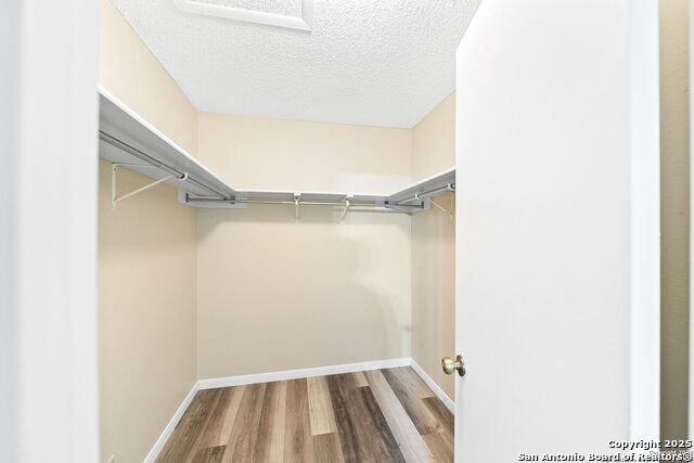 2902 Broad Plain Drive Property Photo 19