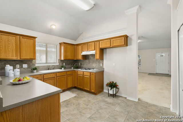 1115 Thrush Ridge Property Photo 11