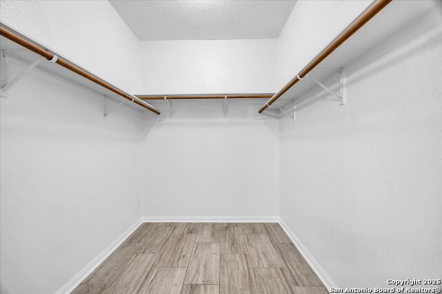 6630 Luckey Tree Property Photo 17