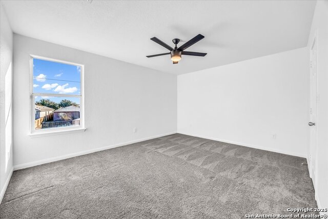 6630 Luckey Tree Property Photo 25