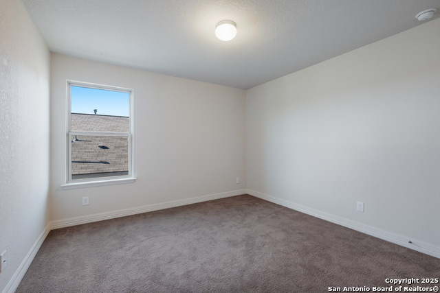 10637 Jasmine Bluff Property Photo 23