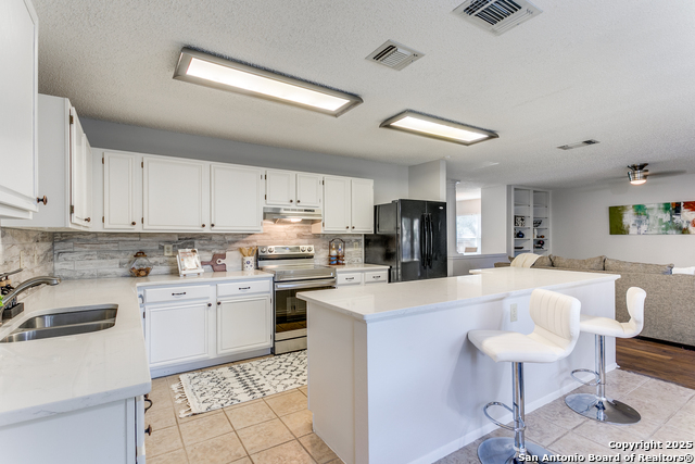 16419 Calico Creek Dr Property Photo 14