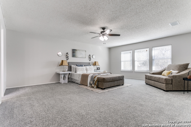 16419 Calico Creek Dr Property Photo 15