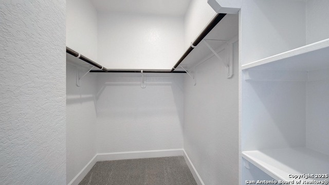 12303 Fort Jyn Property Photo 22